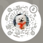 海德洁科技抖音账号二维码
